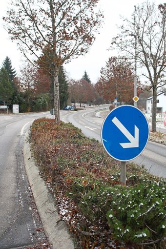Auf den beiden Verkehrsinseln in  Höhe der Einfahrt ins Gewerbegebiet Weilersbach stehen zwei Ahornbäume – noch. Denn die Baumkontrolle der Stadt ergab, dass sie gefällt werden sollen.  Foto: Preuß Foto: Schwarzwälder Bote