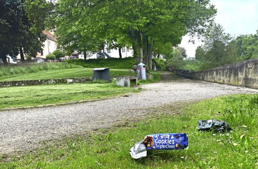 Plastikmüll am Bockshof: Die Verpackungen liegen auf dem Gras, dabei steht der Mülleimer ganz in der Nähe. Foto: Alt