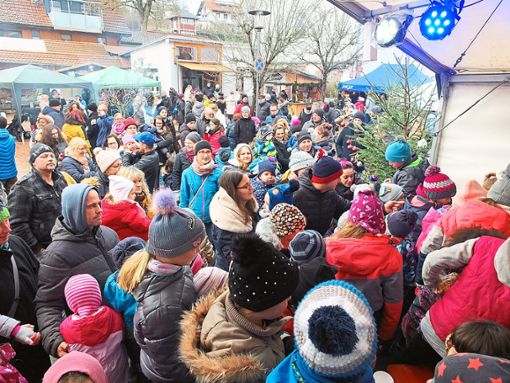 Einmal mehr erweist sich das Niedereschacher Adventsdörfle als Besuchermagnet. Foto: Bantle Foto: Schwarzwälder Bote