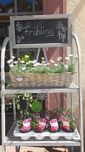 Die Gewinner der Blumengutscheine können sich den  Frühling ins Haus holen.  Foto: Otto Foto: Schwarzwälder Bote