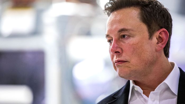 Was macht Elon Musk aus dem Online-Dienst?