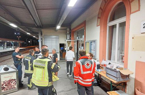 Einsatzkräfte der Feuerwehr, des DRK-Ortsverbands und der Bundespolizei kümmerten sich um die Fahrgäste, die in der Nacht am Hausacher Bahnhof gestrandet waren. Foto: DRK