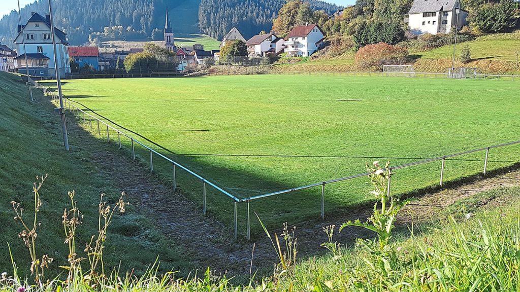 Obwohl der Sportplatz nicht zusätzlich beregnet wurde, erstrahlt er in saftigem Grün. Offensichtlich hat der morgendliche Tau dem Rasen genug Feuchtigkeit mitgegeben, um in den niederschlagsarmen Monaten nicht zu verdorren.