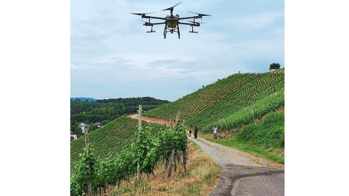 Drohne hilft Winzern in  Steillagen