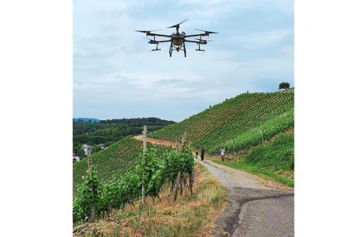 Die Durbacher Winzergenossenschaft setzt seit diesem Jahr eine Drohne für den Pflanzenschutz ein. Wasser und Pflanzenschutzmittel sei dabei gespart worden. Foto: Genossenschaft