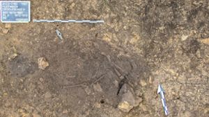 So haben Archäologen das Steinzeitgrab im Bereich Ziegeleschle II im Boden vorgefunden. Neben Gebeinen eines frühen Bewohners der Region kommen Grabbeigaben zum Vorschein, wie eine Steinaxt (links oben). Foto: Landesamt für Denkmalpflege/ArchaeoTask