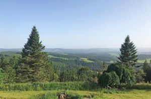 Weit über dem Tal bietet sich vom Brend aus eine wundervolle Aussicht auf die Landschaft – diese gefällt auch den Touristen, die Jahr für Jahr nach Furtwangen kommen. Foto: Köppel