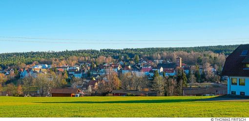 Schömberg ist bekannt für seine gute Luft. In der nächsten Woche  beschäftigt sich der Gemeinderat mit der Idee  eines Heilwaldes. Foto: Fritsch Foto: Schwarzwälder Bote