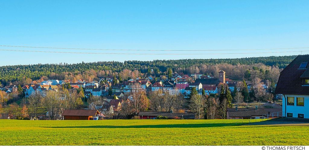 Schömberg ist bekannt für seine gute Luft. In der nächsten Woche  beschäftigt sich der Gemeinderat mit der Idee  eines Heilwaldes. Foto: Fritsch Foto: Schwarzwälder Bote