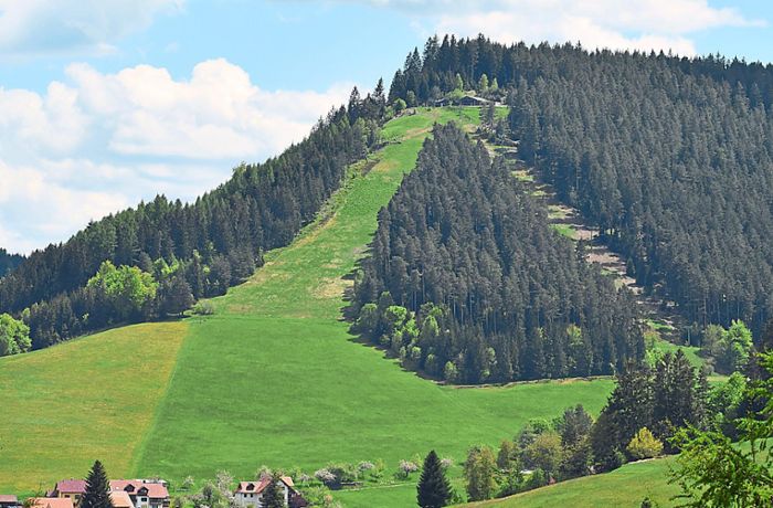 Etat verabschiedet: Gartenschau prägt Haushalt in Baiersbronn