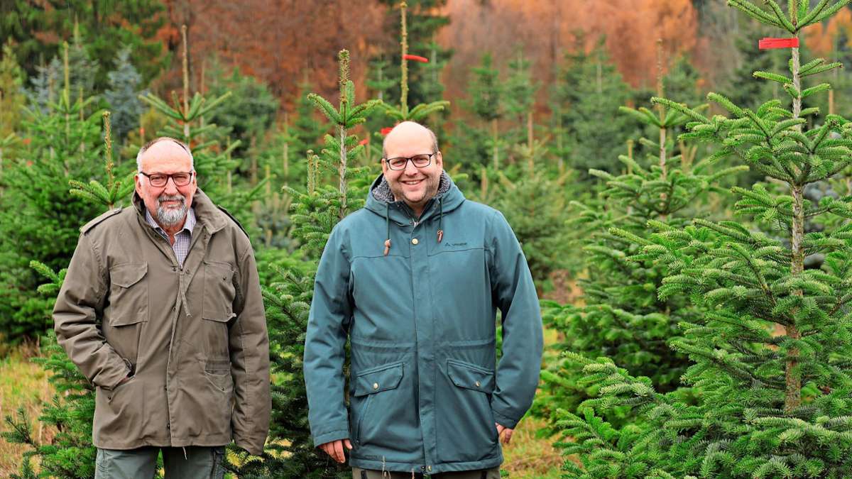Weihnachtszeit in Effringen: Bio-Bäume – was dafür geleistet werden muss