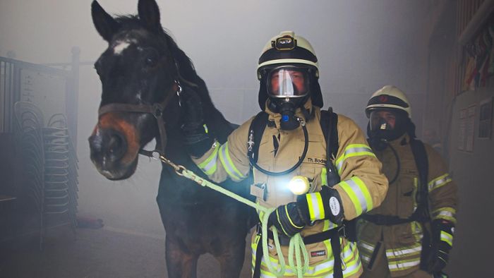 Wie rettet man Pferde im Brandfall?
