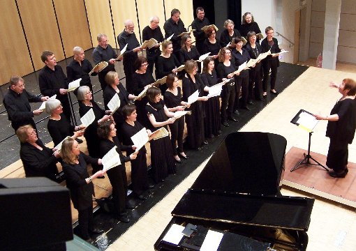 Der Kammerchor Ebingen überzeugte bei seinem Konzert mit romantischer Chormusik. Foto: Schneider Foto: Schwarzwälder-Bote
