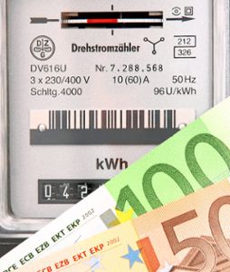 Der Stromverbrauch kann ganz schöne ins Geld gehen. Foto:©Kathrin39–stock.adobe.com Foto: Schwarzwälder-Bote