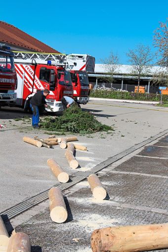 Am 1. Mai fanden die Feuerwehrleute den Baum umgesägt vor. Foto: Pfister