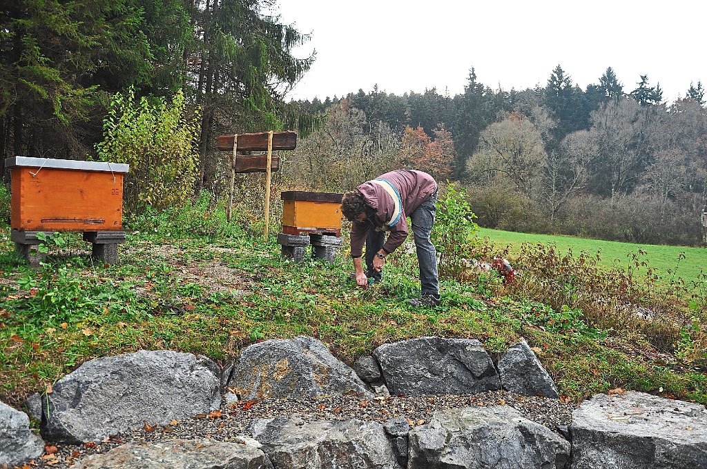 In harter Arbeit haben Mitarbeiter von Mellifera und einer Gärtnerei 1500 Blumenzwiebeln eingepflanzt. Foto: Mellifera Foto: Schwarzwälder-Bote