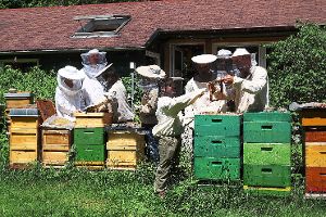 Einen Blick in das faszinierende Leben der Honigbienen können Interessierte beim Tag der Imkerei am Sonntag, 5. Juli, von 11 bis 16 Uhr bei den Villinger Bezirksimkern werfen. Wer möchte, kann in einen der bereitliegenden Schutzanzüge schlüpfen.  Foto: Kraft Foto: Schwarzwälder-Bote