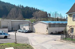 Auf dem ehemaligen Gutekunst-Areal in Oberschwandorf soll ein Mischgebiet mit Wohnbebauung sowie kleineren nichtstörenden Gewerbebetrieben entstehen. Foto: Priestersbach 