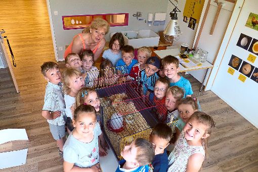 Die Kinder des Kinderhauses im Himmelreich freuen sich über das erste geschlüpfte Küken. Foto: Kinderhaus Foto: Schwarzwälder-Bote
