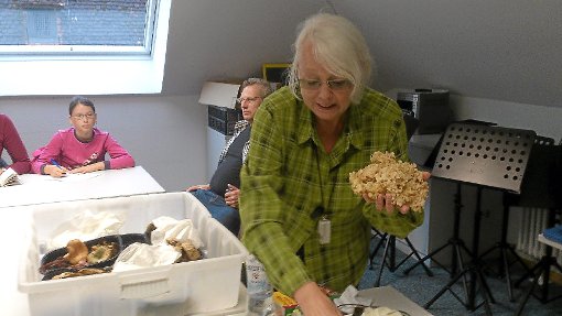 Heidemarie Siebler  zeigte den Seminarteilnehmern unterschiedliche Pilze und deren Merkmale. Foto: Lawicki Foto: Schwarzwälder-Bote
