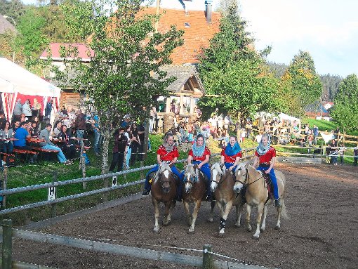 Beim Hof- und Reiterfest werden Ponyreiten zu Gunsten der Katharinenhöhe und ein Hofquiz angeboten.  Foto: Veranstalter Foto: Schwarzwälder-Bote