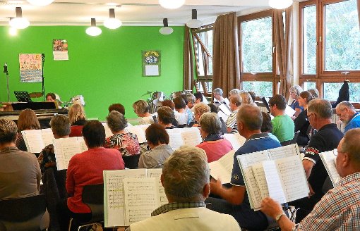 Die Aktiven des Liederkranzes Dotternhausen und des Kirchenchors Nusplingen treten  bei einem Kirchenkonzert auf. Ein erster Probentag hat nun stattgefunden.  Foto: Verein Foto: Schwarzwälder-Bote