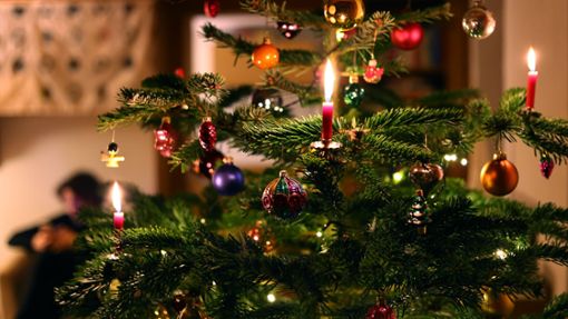 Aus den Nadeln des Weihnachtsbaumes lassen sich so einige gesunde Leckereien zaubern. Foto: Karl-Josef Hildenbrand/dpa