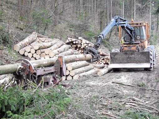 Im Wolfacher Forst verringern sich  die Einnahmen in diesem Jahr aufgrund der Stürme.  Foto: Vichra Foto: Schwarzwälder Bote