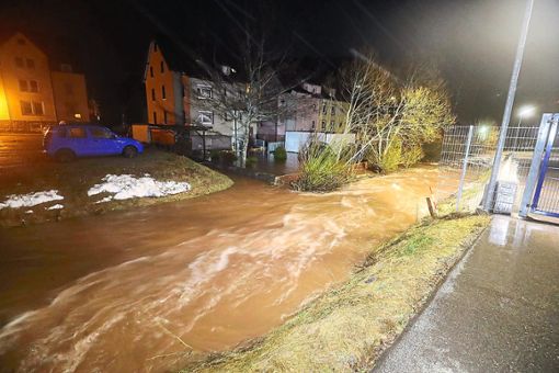 Januar: Über Stunden hinweg waren Feuerwehren im Schwarzwald-Baar-Kreis aufgrund von Hochwasser unterwegs. Teilweise wurden die 20-jährigen Hochwassermarken überschritten. Zum Artikel Foto: Marc Eich