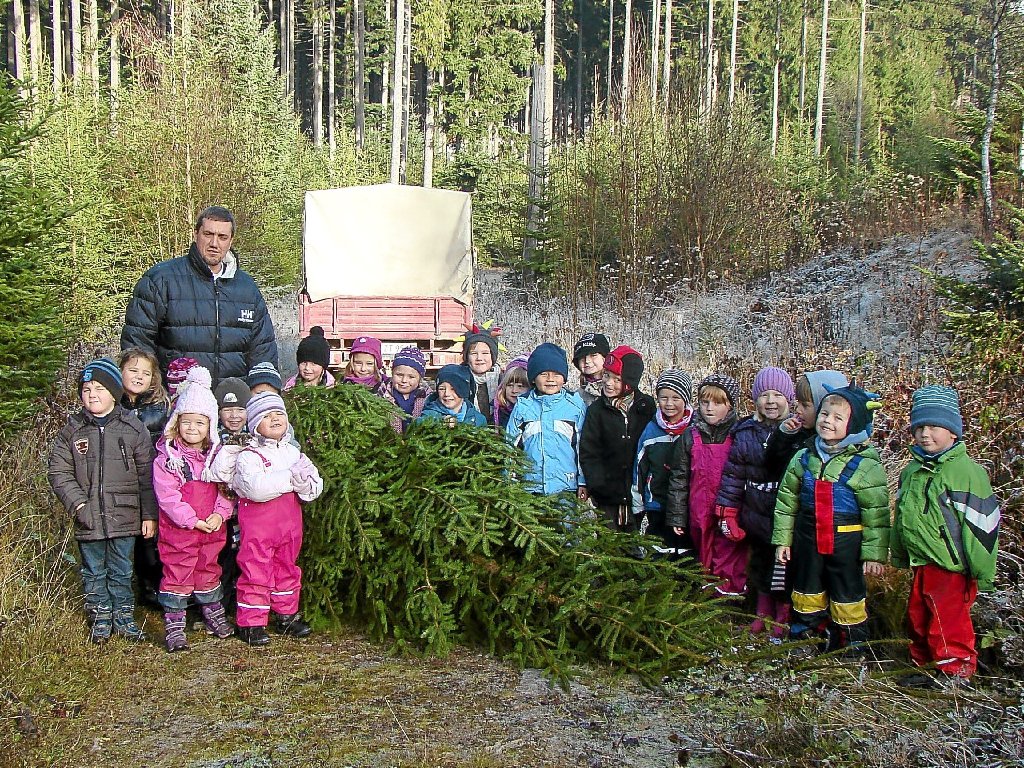 Die Kinder des Herz Jesu Kindergartens suchten sich ihren Weihnachtsbaum selbst aus. Foto: privat Foto: Schwarzwälder-Bote