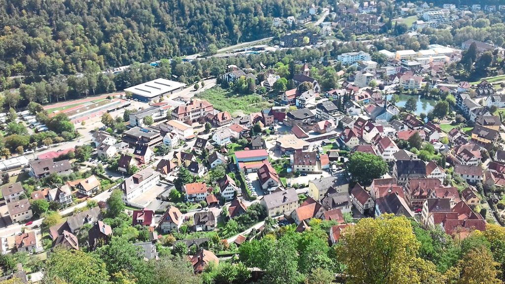 Bad Liebenzell hat  Einnahmen aus dem Stadtwald. Foto: Krokauer