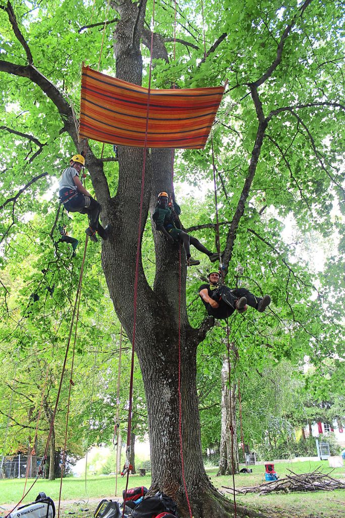 Mit Seilen und Klettergeschirr geht es für die Schüler der Albert-Schweitzer-Schule in die Bäume.  Fotos: Pohl