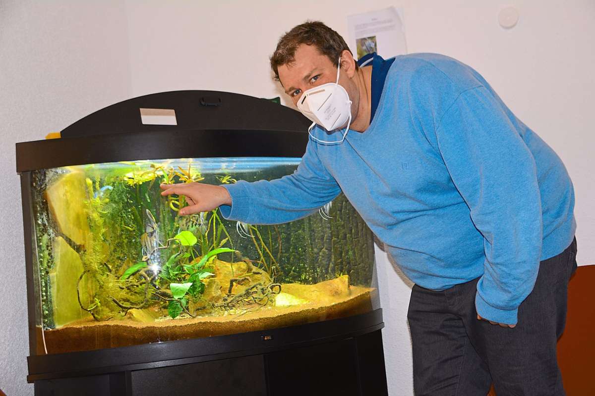 Der Leiter der Hornberger Tagespflege, Leonid Deck, vor dem Aquarium, das den Gästen große Freude bereitet.Foto: Kornfeld Foto: Schwarzwälder Bote