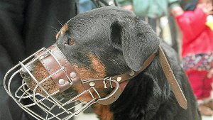 Biss-Attacke: Verfahren gegen Hundehalter