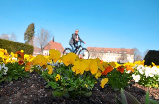 Freudenstadt blüht in der Märzsonne förmlich auf. Foto: Schwark