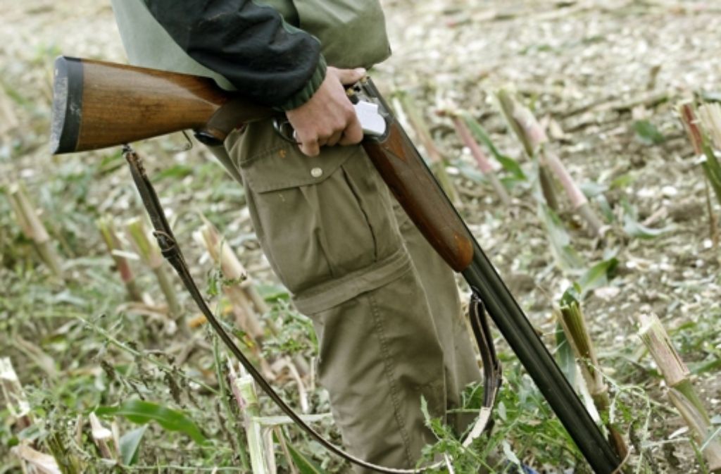 Die Schüsse auf zwei von der FVA mit GPS-Sendern ausgestattete Hirschkühe könnten für die betreffenden Jäger juristische Konsequenzen haben. (Symbolbild) Foto: dpa