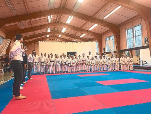 Eine große Zahl an Sportlern nahm an den Meisterschaften teil. Foto: JKA-Karate Dojo Foto: Schwarzwälder Bote