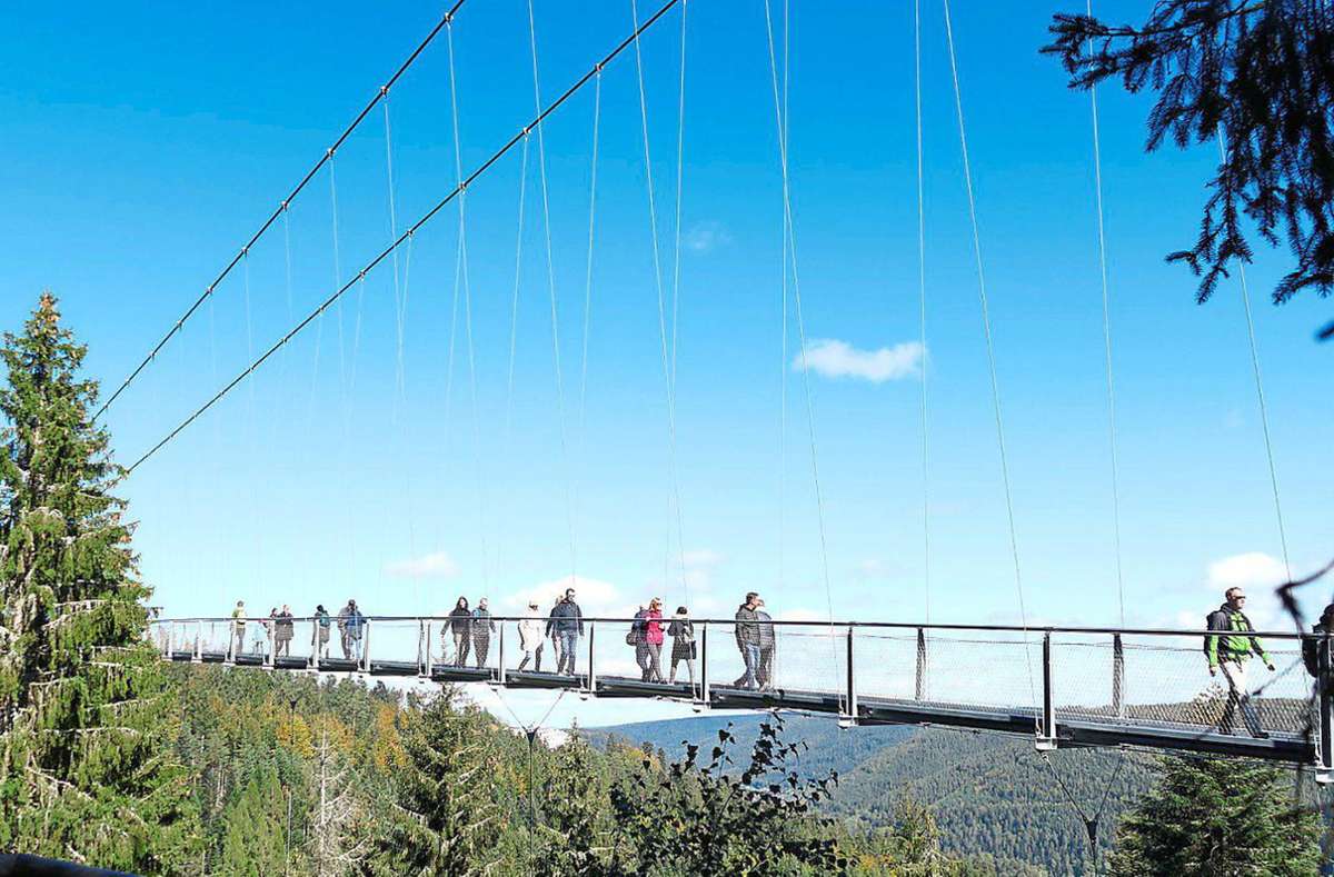In luftige Höhen geht es auf der Hängebrücke Wildline in Bad Wildbad. Foto: Zoller