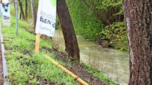 Gartenschau Balingen: Vandalismus – Stadt zieht Bilanz zu Sachbeschädigungen