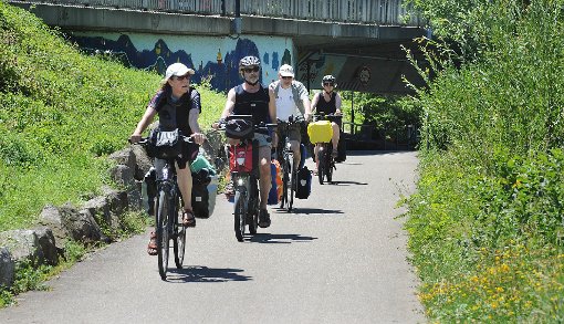 Radfahrer im Neckartal: Das Fahrrad als Verkehrsmittel gewinnt nicht nur in  Freizeit und Urlaub an Bedeutung. Foto: Hopp