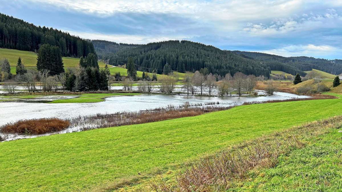 Hochwasser im Schwarzwald-Baar-Kreis: Straße  zwischen Hammereisenbach und Wolterdingen gesperrt
