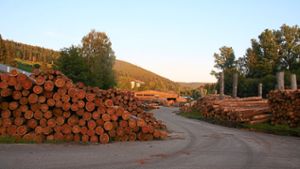 Holzpreis erreicht einen Höchststand - wieder 