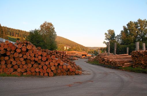 Sägewerk in Mitteltal. Die große Nachfrage nach Schnittholz macht sich nun auch bei den Waldbesitzern bemerkbar. Foto: Rath