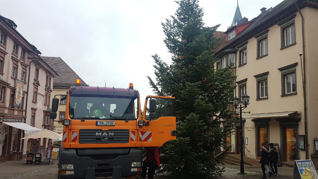 Der Betriebshof stellte am Montagmorgen in der Fußgängerzone den großen  Weihnachtsbaum auf.