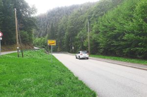 Der Bau des Radwegs zwischen Schramberg-Tal und Tennenbronn soll im Zuge des Kanalbaus im Bernecktal unter Federführung der Stadt Schramberg angestrebt werden. Foto: Riesterer