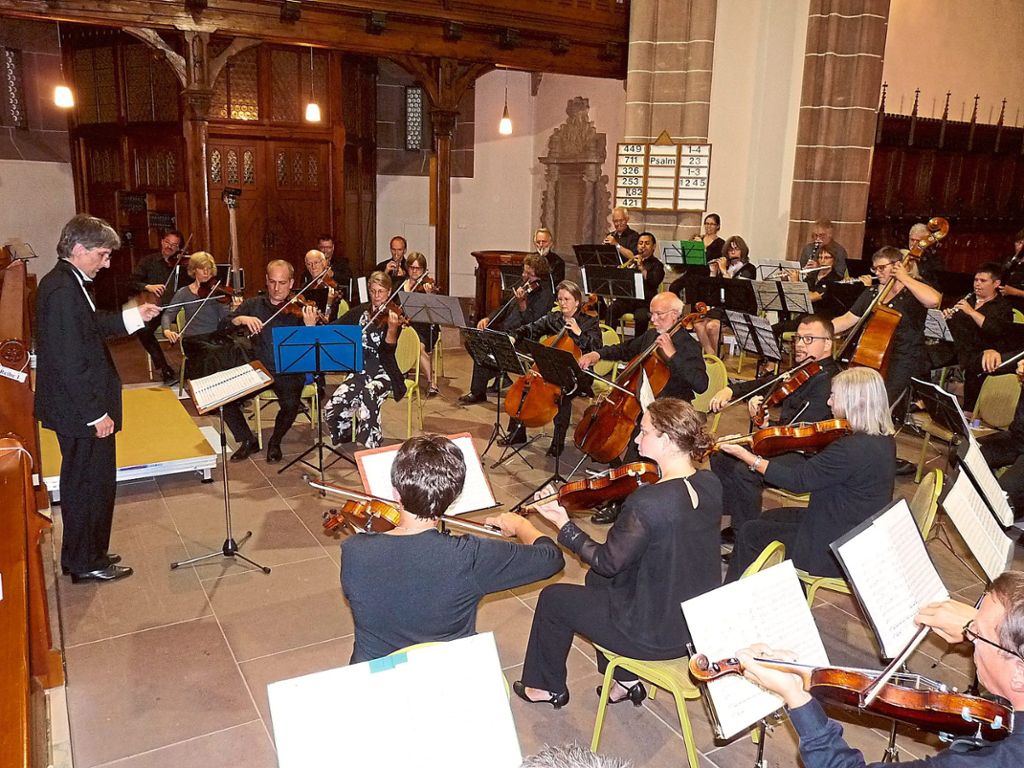 Die Kammersinfonie Calw feierte das  50-jährige Bestehen des Orchesters.  Foto: Selter-Gehring Foto: Schwarzwälder Bote