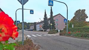 Dieser dritte und letzte Bauabschnitt der Heinz-Schnaufer-Straße – zwischen Bundesstraße und  Wagnerstraße – wird ab 13. November saniert. Foto: Pauline Szyltowski