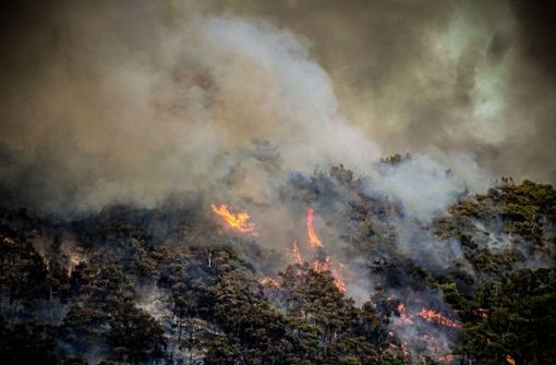 Auf Rhodos wütend derzeit unkontrollierte Waldbrände. Foto: IMAGO/ANE Edition/Argyris Mantikos / Eurokinissi