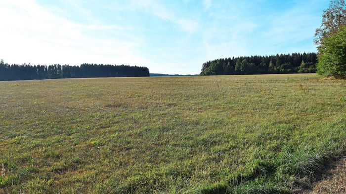 Mähwiese verhindert Freiflächenanlage in Mönchweiler
