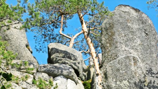Der  Schlossfelsen aus ungewöhnlicher Perspektive – von der Talseite aus:  Die großen aufeinandergesetzten Steine sollten die Oberfläche des Felsens vergrößern. Foto: Karl Volk